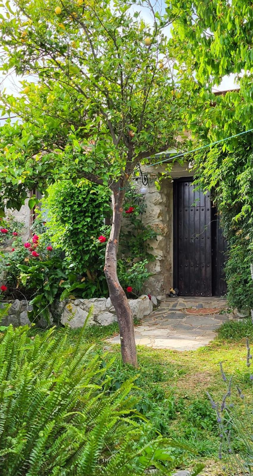 Casa Nani Villa Benaocaz Exteriör bild
